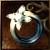 Gadius Ring